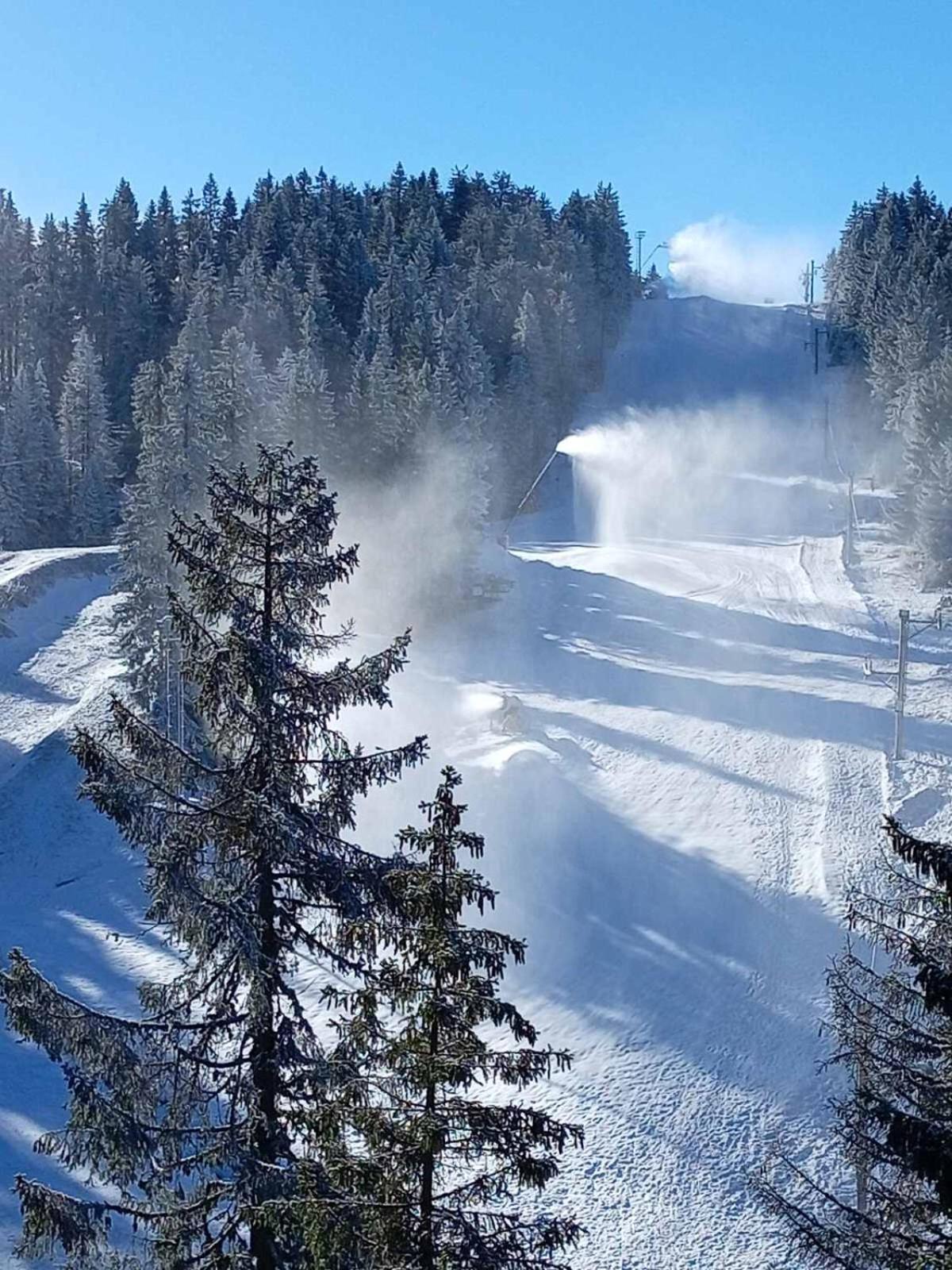 Woodside Woodside Apartments Kopaonik Free Parking & Spa , Free Ski Locker Exteriér fotografie